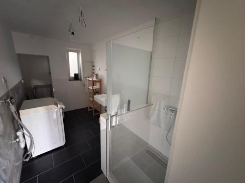 a bathroom with a shower and a sink at FEWO in Spielberg in Sachsenheim