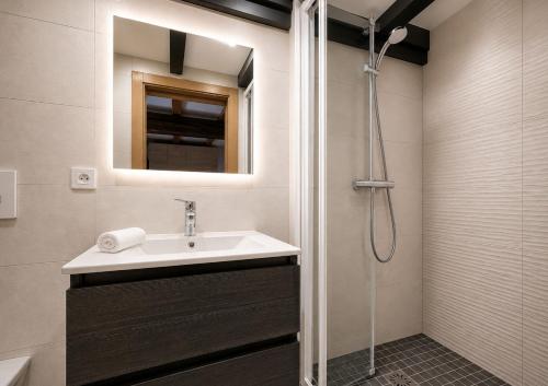 a bathroom with a sink and a shower at L'Atypique in Eguisheim