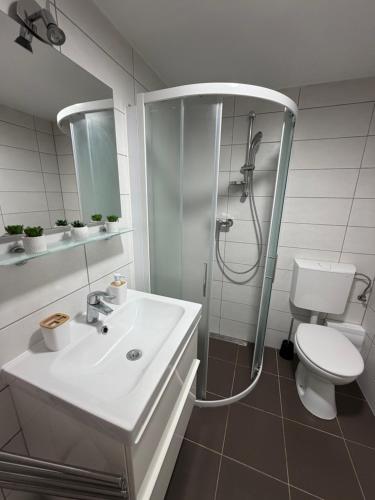 a bathroom with a shower and a sink and a toilet at Downtown Apartments Pula in Pula