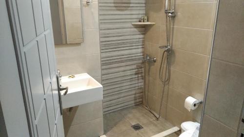 a bathroom with a shower and a sink and a toilet at Vanisko Hotel in Amoudara Herakliou