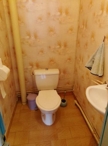 a small bathroom with a toilet and a sink at Maisonnette de village in Mosnes