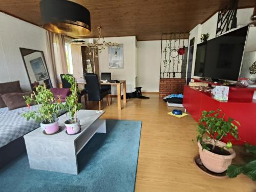 a living room with potted plants on a table at Flumserberg pur, Auszeit am Walensee in Flums