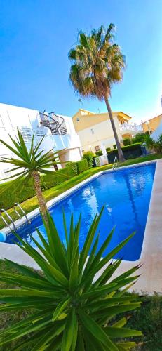 a blue swimming pool with palm trees and a building at Meerblick Pool Direkt am Strand in Cuevas del Almanzora