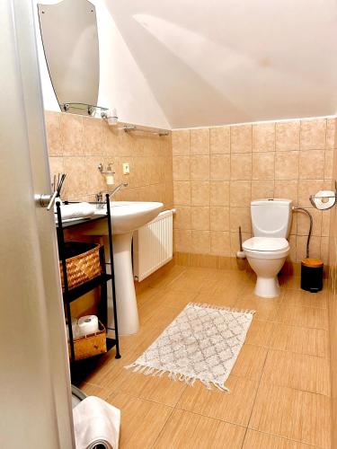 a bathroom with a sink and a toilet and a mirror at Atpūtas vieta Brāļtīrumi in Pūrciems