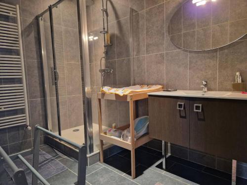 a bathroom with a shower and a sink at La Borie de Peyrot in Huparlac