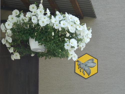 a hanging flower basket with white flowers and a butterfly at Forester Apartment Zuberec in Zuberec