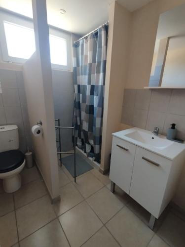 a bathroom with a toilet and a sink and a shower at Studio La Gière in Beaumes-de-Venise