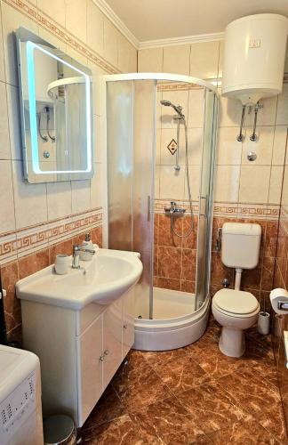 a bathroom with a shower and a sink and a toilet at Apartmani Dalibor, Stanići - Omiš in Stanići