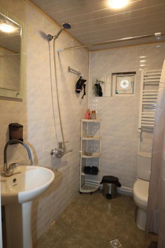 a bathroom with a sink and a toilet and a shower at MAKO in Racha in Ambrolauri