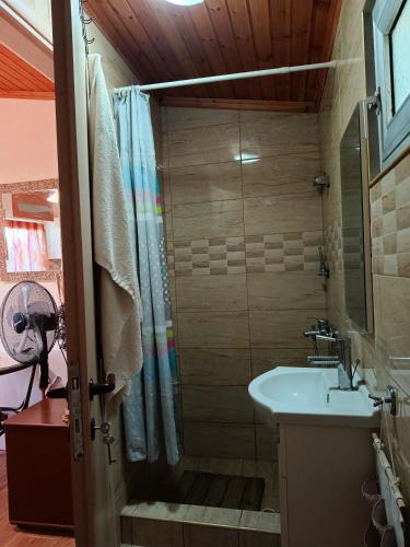 a bathroom with a shower and a sink at red caravan in Nea Potidaea