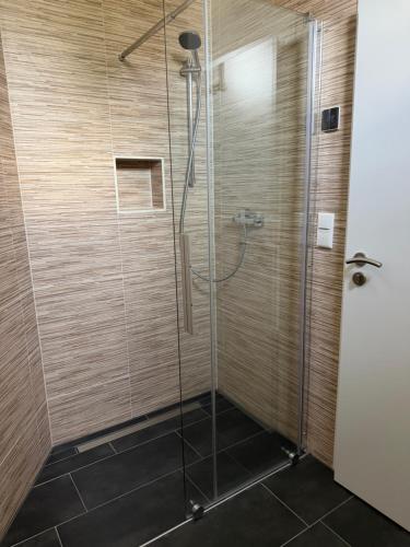 a shower with a glass door in a bathroom at RS home CB 1 in Cottbus