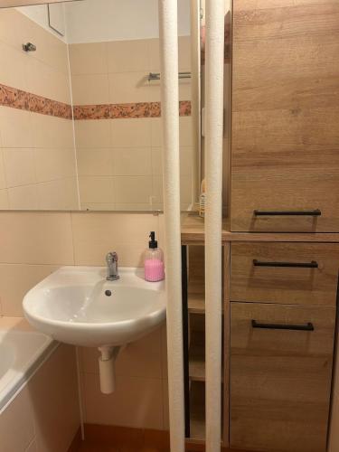 a small bathroom with a sink and a shower at Your home 29 with parking in KoÅ¡ickÃ© KÃºpele