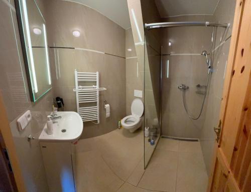 a bathroom with a shower and a toilet and a sink at Apartmán Špičák in Špičák