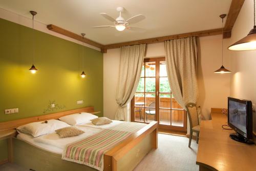 a bedroom with a bed and a tv and a window at Natura Amon in Podčetrtek