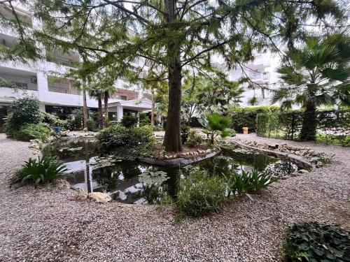 Ground floor with pool Roses Santa Margarita