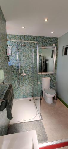 a bathroom with a shower and a toilet at Maison AMARE 200 m de la plage in Berck-sur-Mer