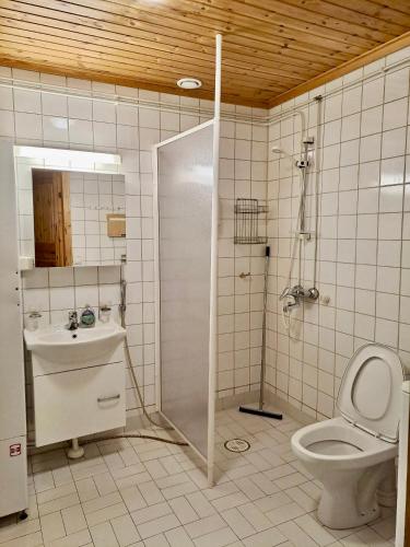 a bathroom with a shower and a toilet and a sink at Holiday Home Marina in Tahkovuori