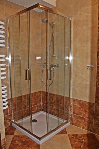 a shower with a glass enclosure in a bathroom at Pod Strzechą in Malawa