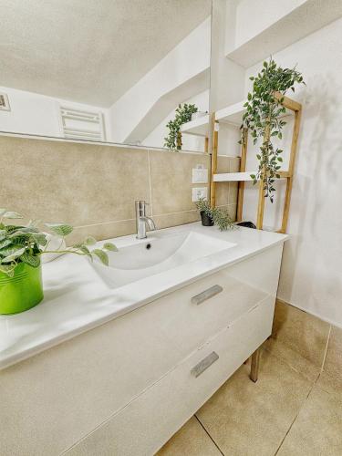 Cozy Basement Apartment Navigli