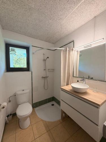 a bathroom with a toilet and a sink at La Sabonnera in Sant Llorenç de la Muga