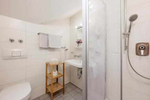 a bathroom with a shower and a toilet and a sink at Hotel am Haidel in Hinterschmiding