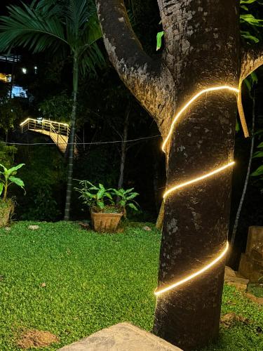 a statue of a tree with lights on it at Miracle holiday homestay in Demodera