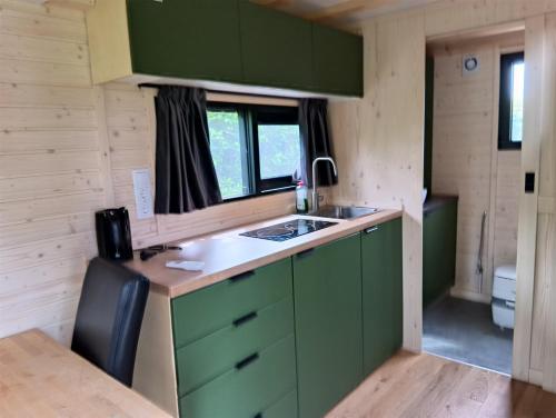 a kitchen with green cabinets and a sink at Accommodatie Spiegelwaal Nijmegen Lent in Nijmegen