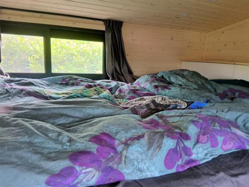 an unmade bed in a room with a window at Accommodatie Spiegelwaal Nijmegen Lent in Nijmegen