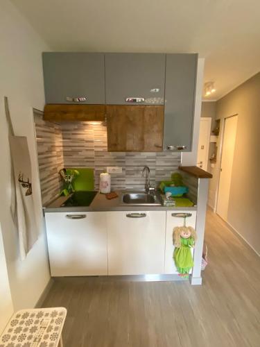 a small kitchen with a sink in a room at Bright and silent studio in Bardonecchia centre in Bardonecchia
