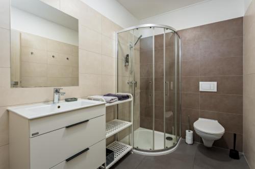 a bathroom with a shower and a sink and a toilet at Apartmány Miromar in Podivín