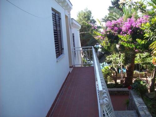 a stairway leading up to a house with trees at Captain's villa in Molunat