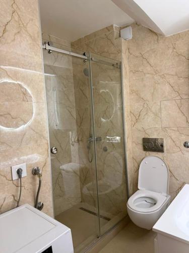 a bathroom with a shower with a toilet and a sink at Silver Night in Belgrade