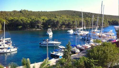 a bunch of boats are docked in a harbor at Molat Bay View in Molat