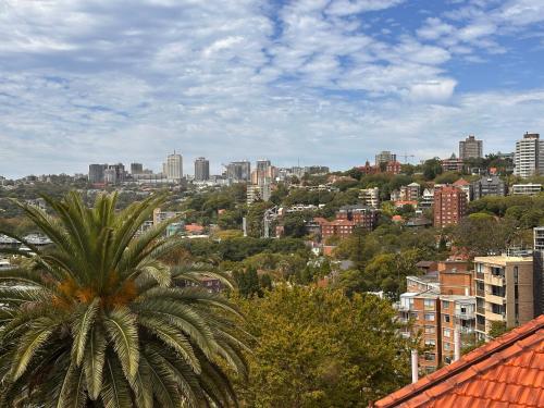 a city skyline with a palm tree in the foreground at Darling Point with Harbour Views in Sydney