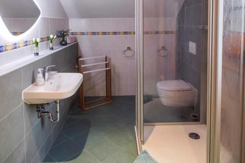 a bathroom with a shower and a sink and a toilet at Maisionette FEWO Sternchen in Heidenau