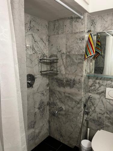 a bathroom with a shower and a toilet at Studio Naty in Marina di Massa