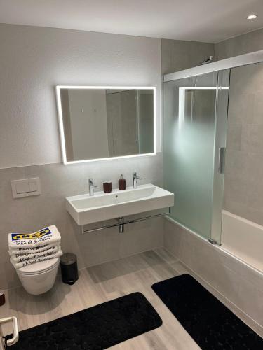 a bathroom with a sink and a toilet and a mirror at Cozy apartment in Zurich