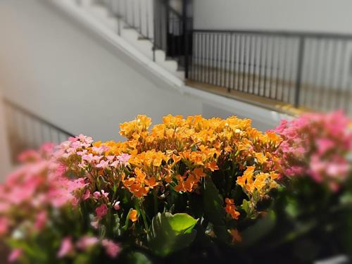 Centro Sevilla elegante Homecenter FB photo 17