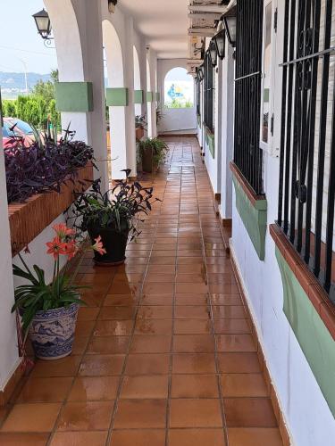 an empty corridor of a building with potted plants at Hotel Apolo XI in Tahivilla
