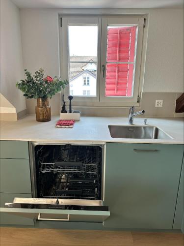 an oven in a kitchen with a sink and a window at Stadtloft Suites Richterswil in Richterswil