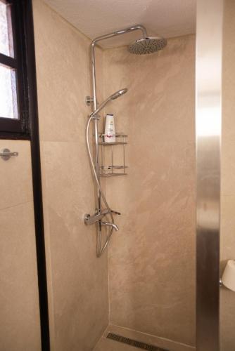 a shower in a bathroom with a glass door at EMPHASIS Traditional House with Jacuzzi & Bicycles in Apodhoúlou