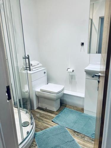 a bathroom with a toilet and a sink and a shower at Whiteleys Cottages 2 bedroom in Renton