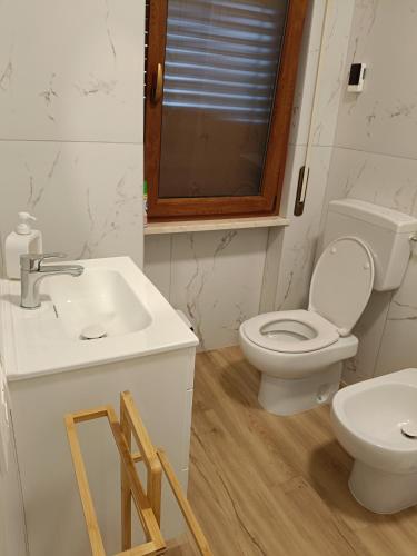 a bathroom with a toilet and a sink at B&B Coccinella in Basiliano