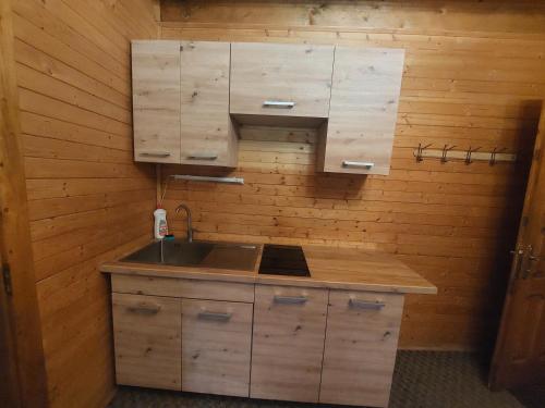 a kitchen with a sink and a wooden wall at КОТЕДЖ У ЛІСКУ in Vorokhta