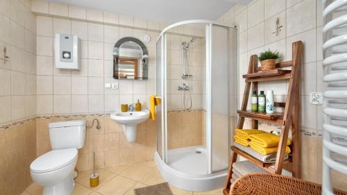 a bathroom with a toilet and a shower and a sink at Mały Domek in Stara Rzeka