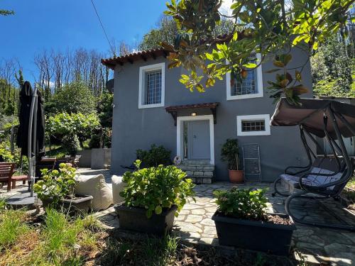 The Forest House in Pelion