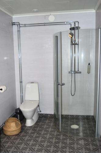 a bathroom with a toilet and a shower at Nordsjögården in Järvsö
