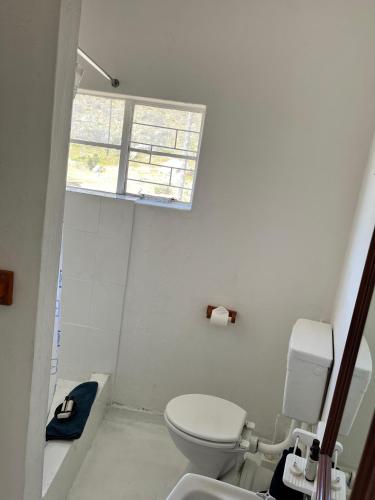 a white bathroom with a toilet and a window at The Hangklip Hotel in Pringle Bay