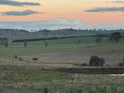 a large open field with trees in the distance at The Dairy and Pines Tiny house by Tiny Away in Shadforth