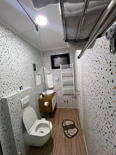 a bathroom with a toilet and a sink at Bujtina SIAR in Pogradec